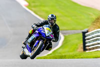 PJ-Motorsport-Photography-2020;anglesey;brands-hatch;cadwell-park;croft;donington-park;enduro-digital-images;event-digital-images;eventdigitalimages;mallory;no-limits;oulton-park;peter-wileman-photography;racing-digital-images;silverstone;snetterton;trackday-digital-images;trackday-photos;vmcc-banbury-run;welsh-2-day-enduro